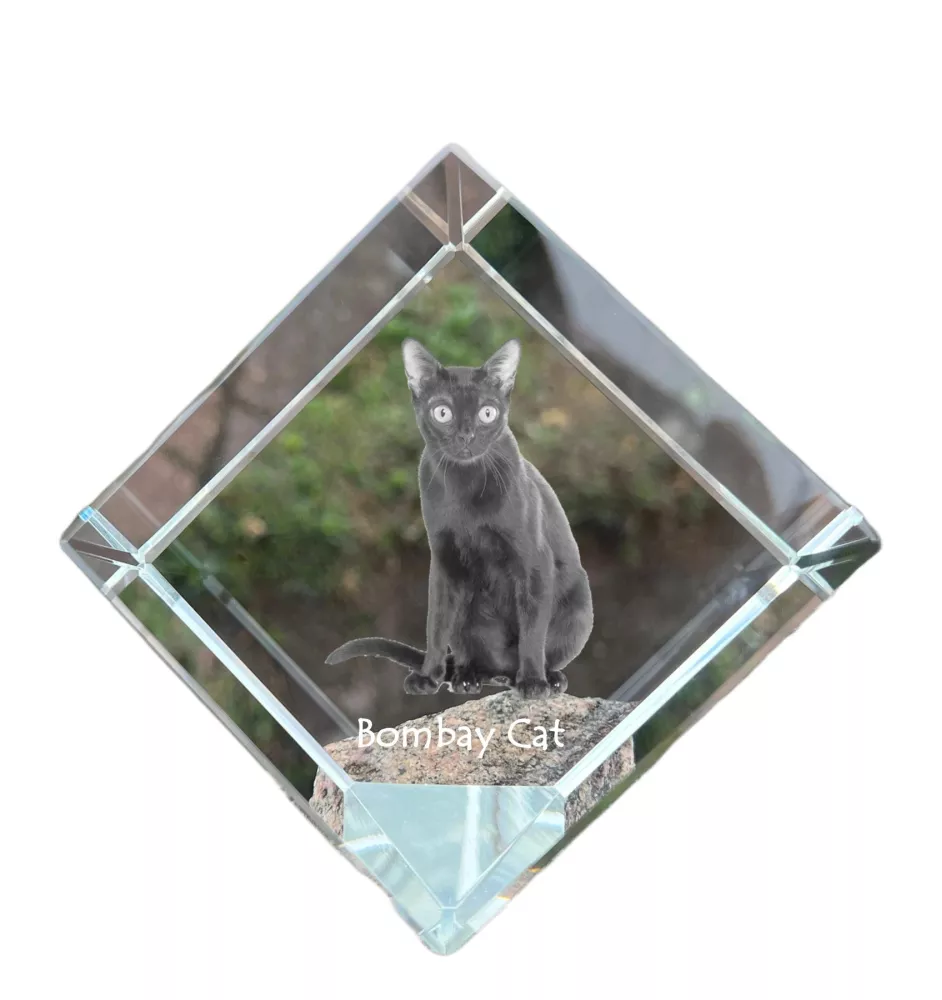 Bombay Cat - crystal cube with a picture of a cat, crystal with a picture of a horse, cubic paperweight by Art-Dog brand