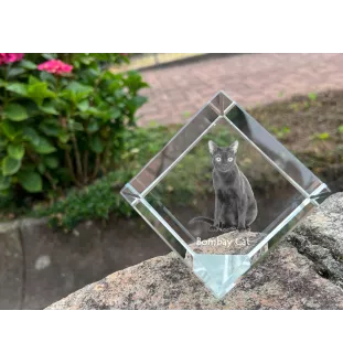 Bombay Cat - crystal cube with a picture of a cat, crystal with a picture of a horse, cubic paperweight by Art-Dog brand
