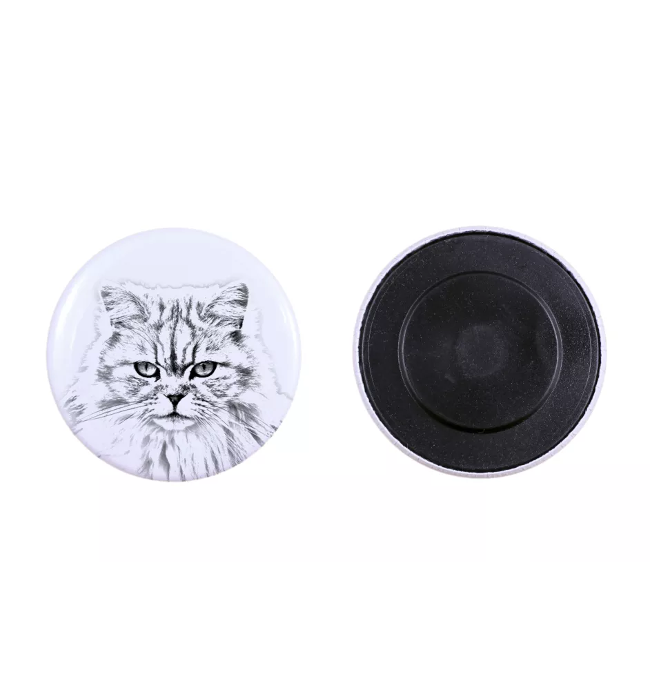 British Longhair - collection of unique magnets, own photo, Art-Dog brand