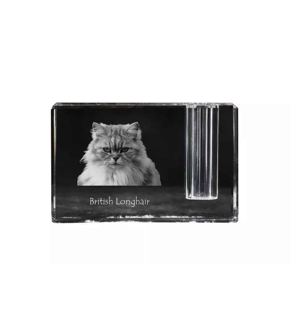 British Longhair - Pen stand, crystal organiser with cat photo, unique desk decoration by Art-Dog brand
