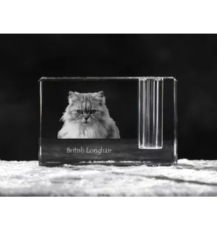 British Longhair - Porte-stylos, organiseur en cristal avec photo de chat, décoration de bureau unique par la marque Art-Dog