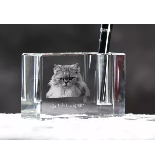 British Longhair - Pen stand, crystal organiser with cat photo, unique desk decoration by Art-Dog brand