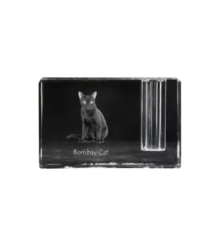 Bombay Cat - Pen stand, crystal organiser with cat photo, unique desk decoration by Art-Dog brand