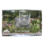 British Shorthair - cristal avec une photo de chat, photo sous verre, exposition moderne de la marque de photos Art-Dog
