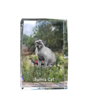Birmakatze - Kristall mit einem Katzenbild, Bild im Glas, moderne Ausstellung des Art-Dog-Fotos.