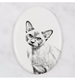Kot burmański płyta nagrobna ze zdjęciem kota Art-Dog