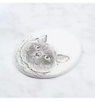 British Shorthair - commemorative plaque with a cat photo, tombstone with a print, personalized oval plaque from the Art-Dog brand