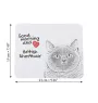 British Shorthair - mouse pad with print, personalized cat pad, unique gadget for an office worker from the Art-Dog brand