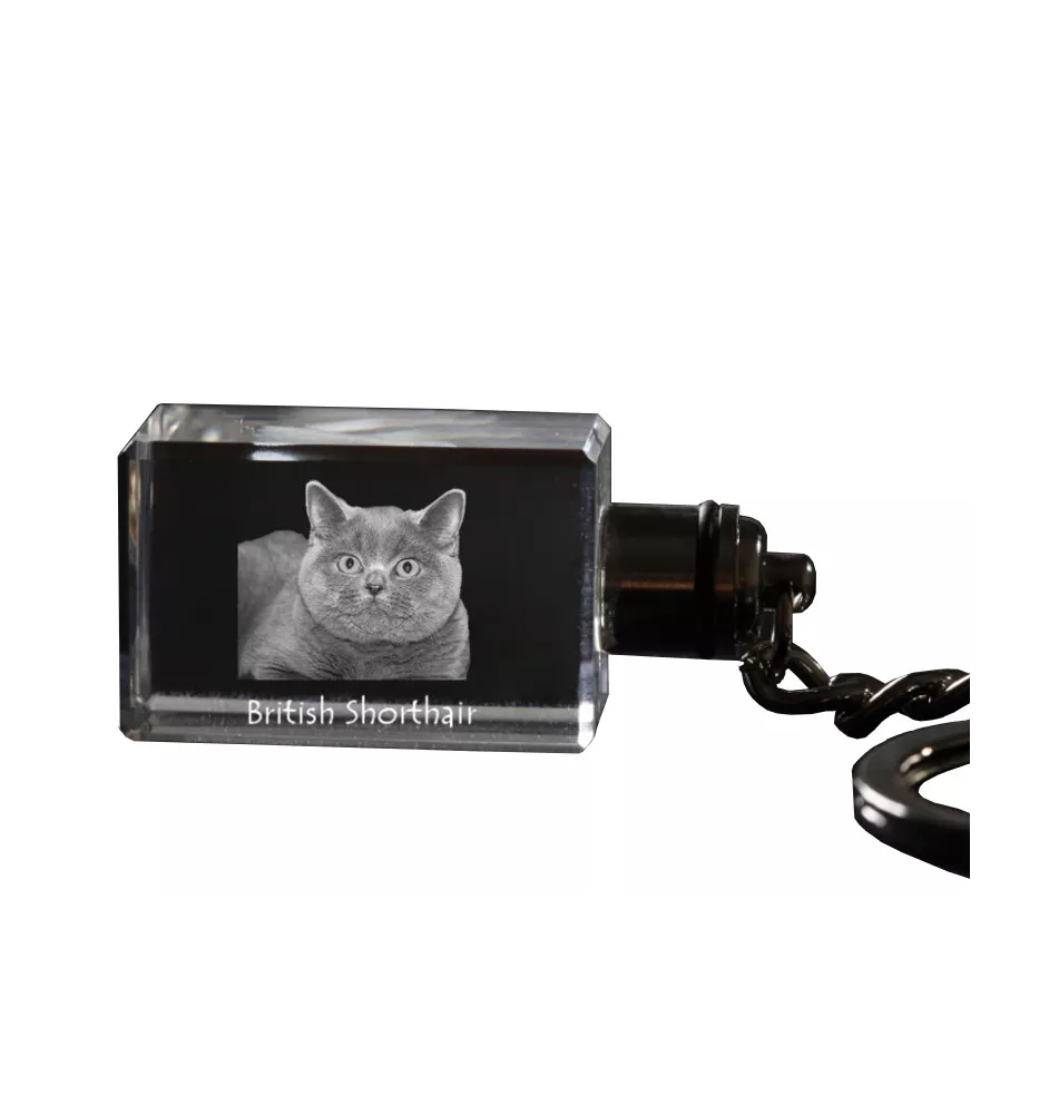 British Shorthair - Pendentif en cristal avec photo de chat, pendentif lumineux, cadeau unique de la marque Art-Dog