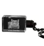 British Shorthair - Pendentif en cristal avec photo de chat, pendentif lumineux, cadeau unique de la marque Art-Dog