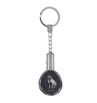 Birmakatze - Fob with cat photo, crystal key ring in gift box, unique gift by Art-Dog brand