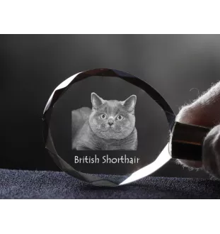 Brytyjski krótkowłosy brelok do kluczy kryształowy z kotem Art-Dog