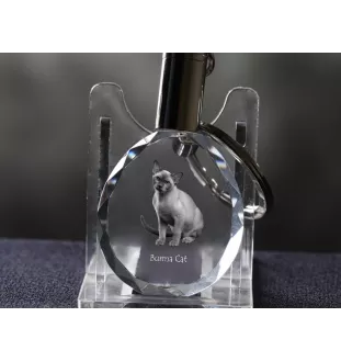 Burma Cat - Fob with cat photo, crystal key ring in gift box, unique gift by Art-Dog brand