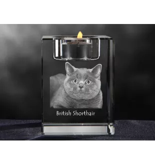 Britisch Kurzhaar - Kerzenhalter mit Katzenfoto, Teelichthalter aus Kristall, personalisiertes Geschenk der Marke Art-Dog