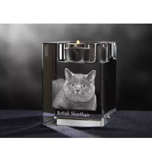 British Shorthair - Candle holder with cat photo, crystal tealight holder, personalised gift by Art-Dog brand