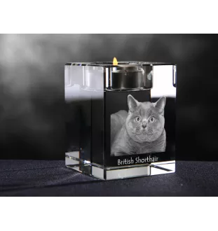British Shorthair - Candle holder with cat photo, crystal tealight holder, personalised gift by Art-Dog brand