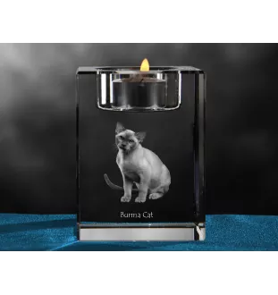 Chat de Birmanie - Bougeoir avec photo de chat, porte bougie en cristal, cadeau personnalisé par la marque Art-Dog