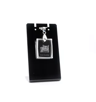Britisch Kurzhaar - Crystal cat pendant, photo necklace, unique jewellery by Art-Dog