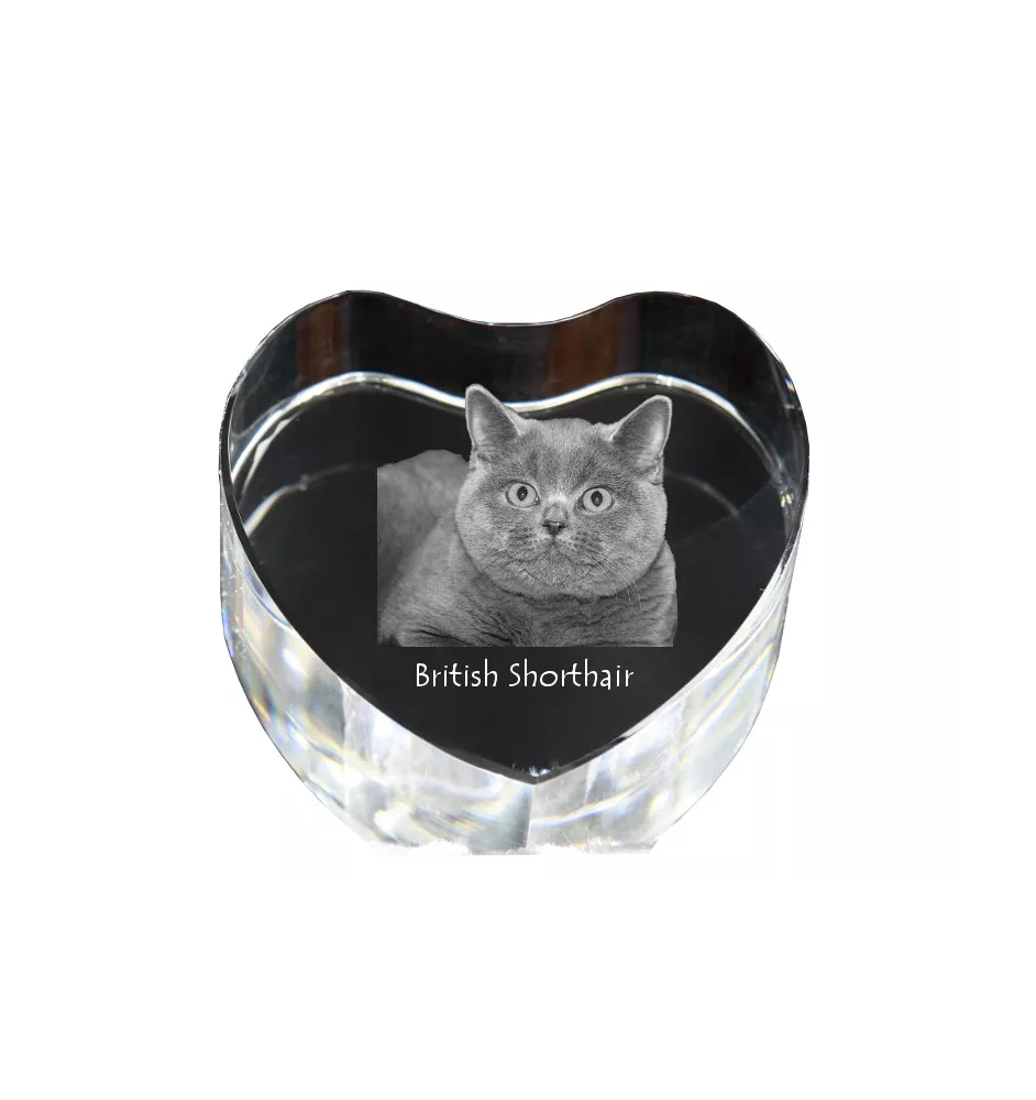 Britisch Kurzhaar - Kristalluhr mit Katzenbild, Herzregal-Uhr, personalisierte Standuhr von Art-Dog.