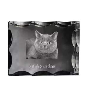 British Shorthair - crystal with a cat picture, glass statuette with a picture, unique frame with a picture from Art-Dog brand