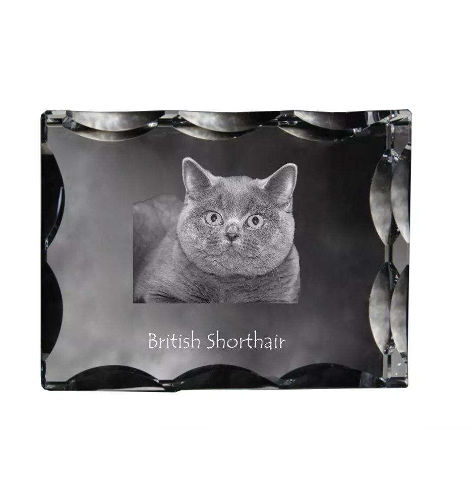 Britisch Kurzhaar - Kristall mit Katzenbild, Glasstatuette mit Bild, einzigartiger Bilderrahmen der Marke Art-Dog