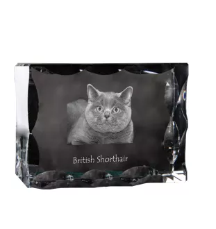 British Shorthair - crystal with a cat picture, glass statuette with a picture, unique frame with a picture from Art-Dog brand