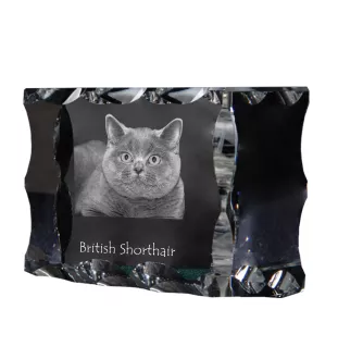 Britisch Kurzhaar - Kristall mit Katzenbild, Glasstatuette mit Bild, einzigartiger Bilderrahmen der Marke Art-Dog