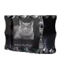 British Shorthair - crystal with a cat picture, glass statuette with a picture, unique frame with a picture from Art-Dog brand
