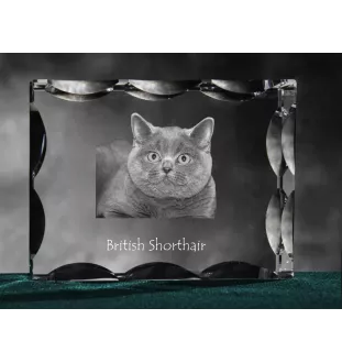 British Shorthair - crystal with a cat picture, glass statuette with a picture, unique frame with a picture from Art-Dog brand