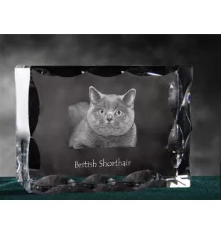 British Shorthair - crystal with a cat picture, glass statuette with a picture, unique frame with a picture from Art-Dog brand