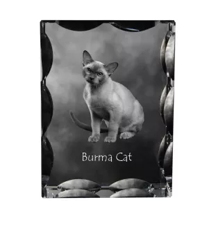 Burma Cat - crystal with a cat picture, glass statuette with a picture, unique frame with a picture from Art-Dog brand
