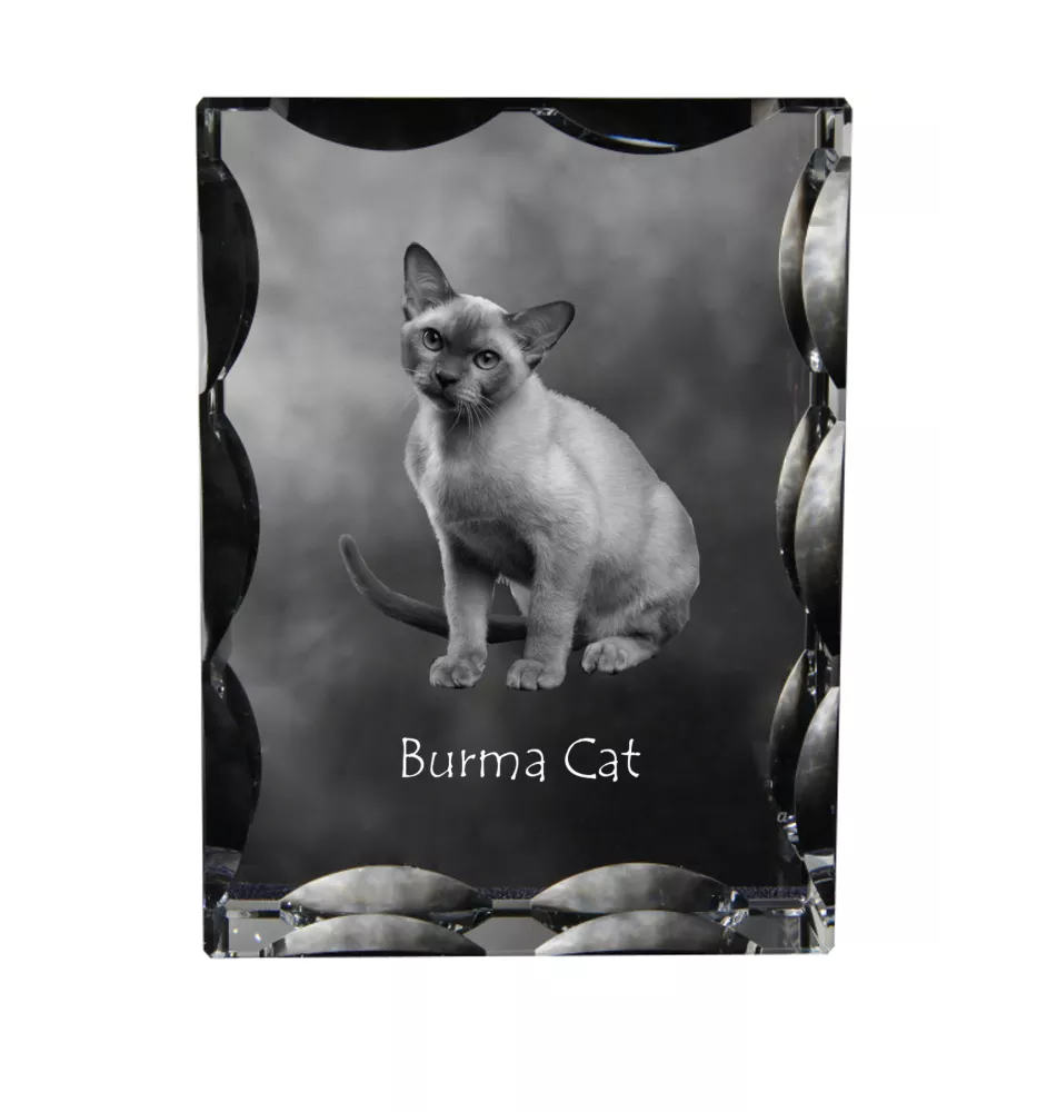 Chat de Birmanie - cristal avec une photo de chat, une statuette en verre avec une photo, un cadre exceptionnel avec une photo de la marque Art-Dog