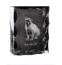 Kot burmański ramka kryształowa z kotem Art-Dog