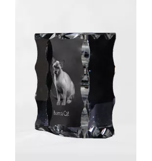 Birmakatze - Kristall mit Katzenbild, Glasstatuette mit Bild, einzigartiger Bilderrahmen der Marke Art-Dog