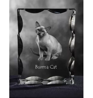 Burma Cat - crystal with a cat picture, glass statuette with a picture, unique frame with a picture from Art-Dog brand