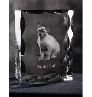 Burma Cat - crystal with a cat picture, glass statuette with a picture, unique frame with a picture from Art-Dog brand