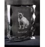 Burma Cat - crystal with a cat picture, glass statuette with a picture, unique frame with a picture from Art-Dog brand