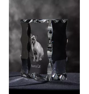 Chat de Birmanie - cristal avec une photo de chat, une statuette en verre avec une photo, un cadre exceptionnel avec une photo de la marque Art-Dog