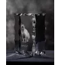 Birmakatze - Kristall mit Katzenbild, Glasstatuette mit Bild, einzigartiger Bilderrahmen der Marke Art-Dog