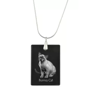 Birmakatze - Crystal pendant with cat, silver necklace with photo, personalised pendant by Art-Dog brand