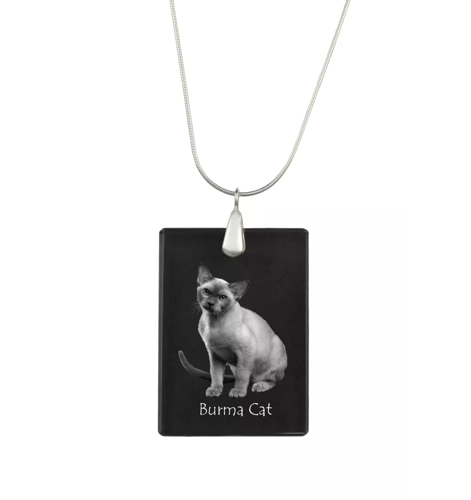 Birmakatze - Crystal pendant with cat, silver necklace with photo, personalised pendant by Art-Dog brand