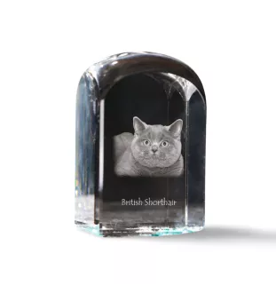 British Shorthair - crystal cube with a photo, photo of a cat in crystal, cubic paperweight from Art-Dog brand