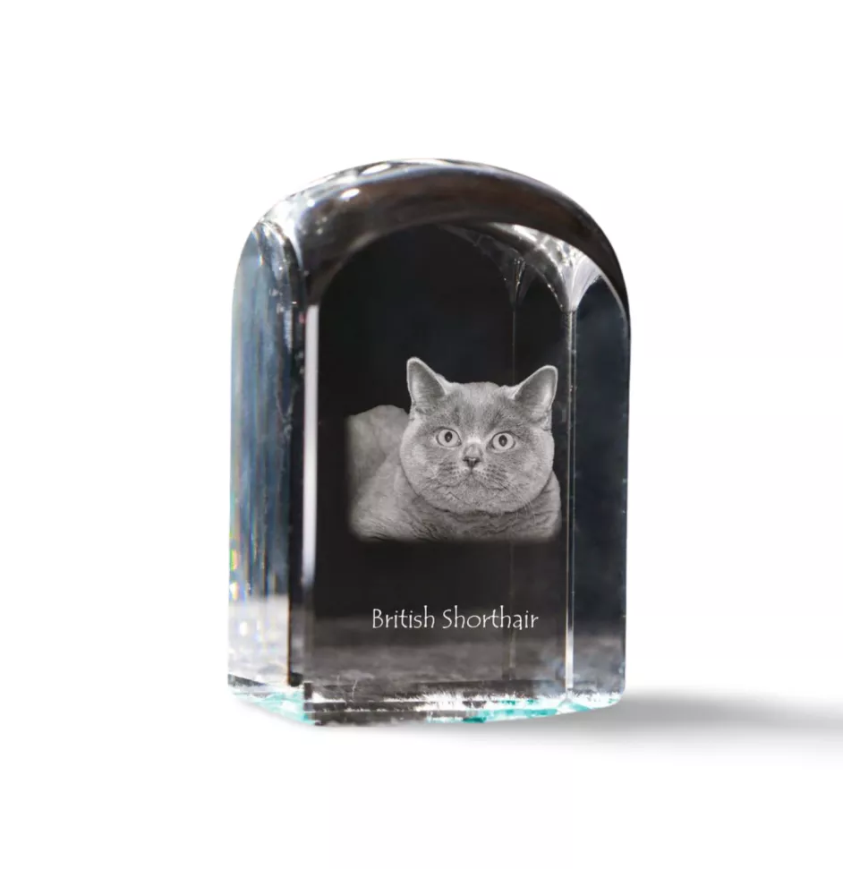 British Shorthair - un cube en cristal avec une photo, une photo de chat dans le cristal, un presse-papiers cubique de la marque Art-Dog