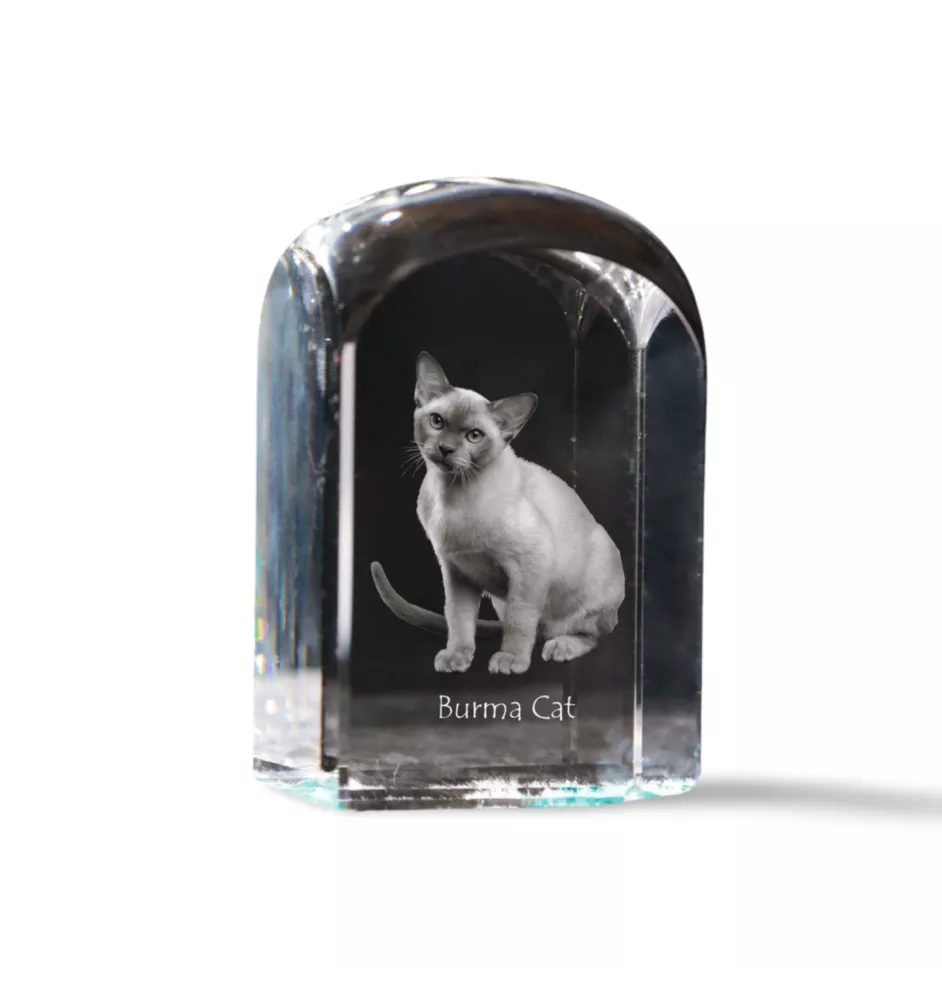Burma Cat - crystal cube with a photo, photo of a cat in crystal, cubic paperweight from Art-Dog brand
