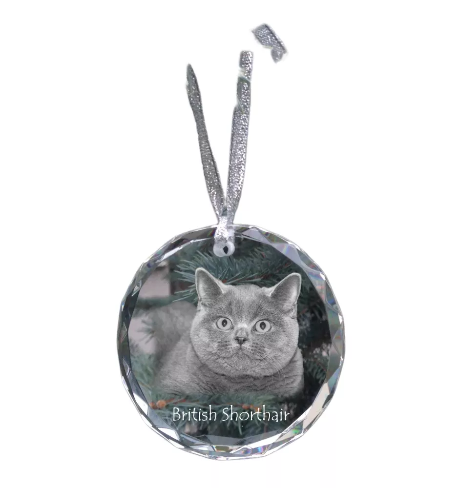 British Shorthair - boule de Noël en cristal avec une photo, photo d'un chat dans le cristal, décoration personnalisée pour sapin de Noël de la marque Art-Dog
