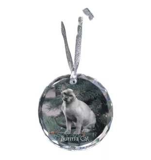 Burma Cat - crystal bauble with a photo, photo of a cat in crystal, personalized Christmas tree ornament by Art-Dog brand
