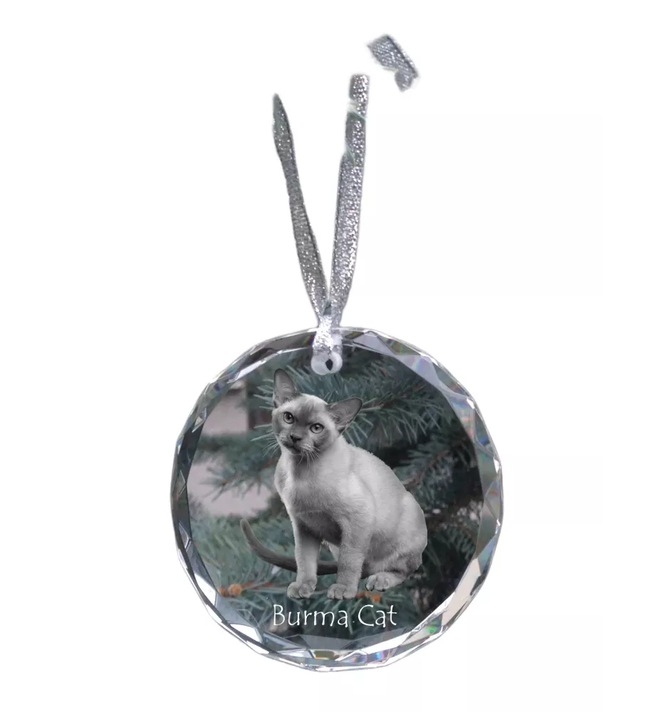 Chat de Birmanie - boule de Noël en cristal avec une photo, photo d'un chat dans le cristal, décoration personnalisée pour sapin de Noël de la marque Art-Dog