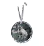 Burma Cat - crystal bauble with a photo, photo of a cat in crystal, personalized Christmas tree ornament by Art-Dog brand