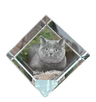 British Shorthair - un cube en cristal avec une photo de chat, une photo de cheval dans le cristal, un presse-papiers cubique de la marque Art-Dog