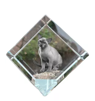 Burma Cat - crystal cube with a picture of a cat, crystal with a picture of a horse, cubic paperweight by Art-Dog brand